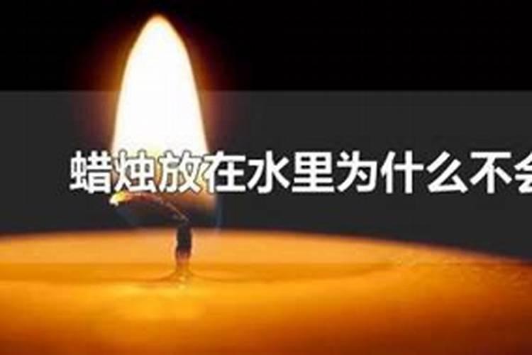 广东种菜用什么肥料好