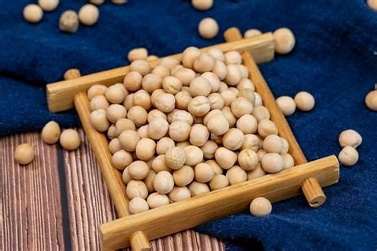 白菜上午还是下午种好