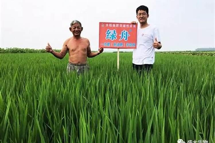 苹果几月份打硼好