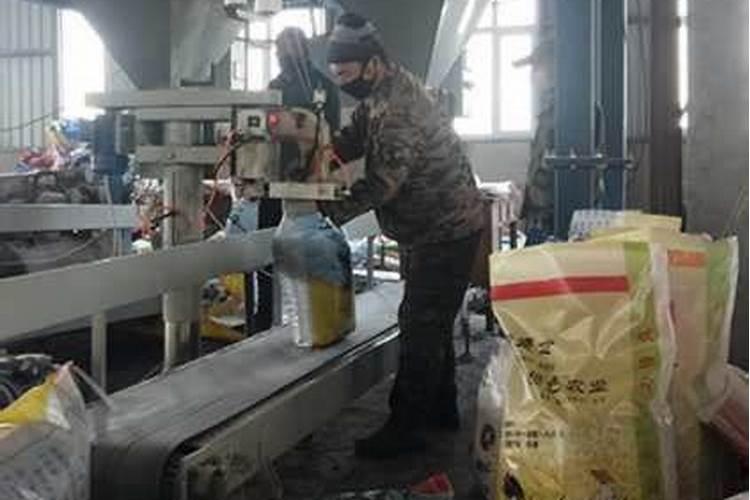 云南珠芽魔芋种植技术指导