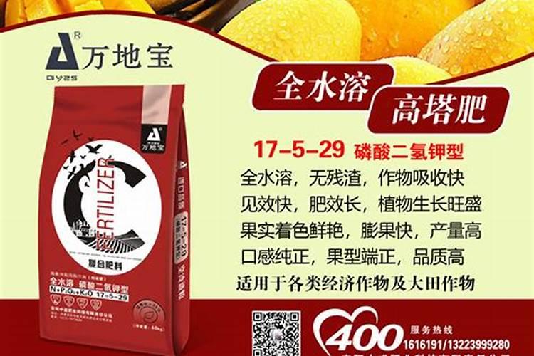马蹄撒硼肥过量会不会裂根