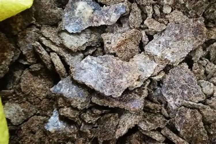 花生麸泡几天可以施肥