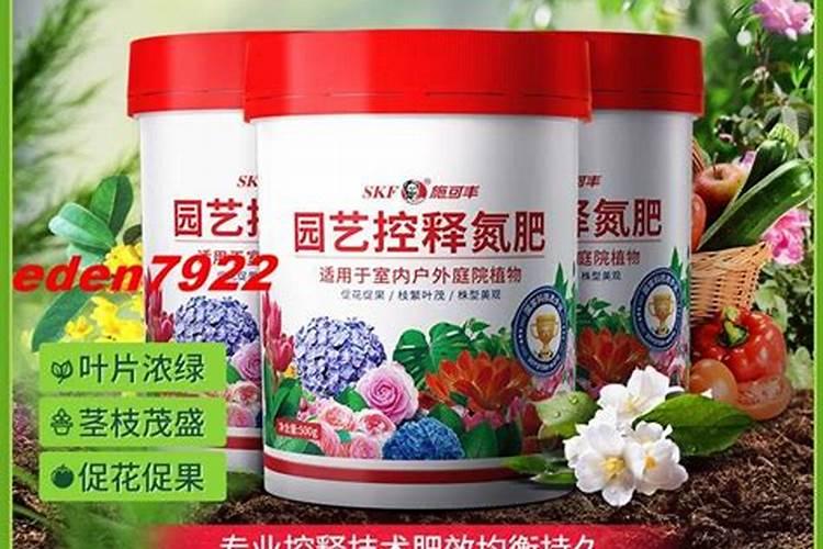 塑料大棚春茬辣椒定植后结果前如何进行肥水管理？