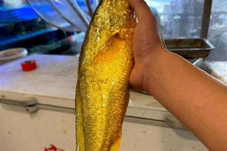 大面积种植西兰花想要高产稳产,都有哪些科学种植方法？