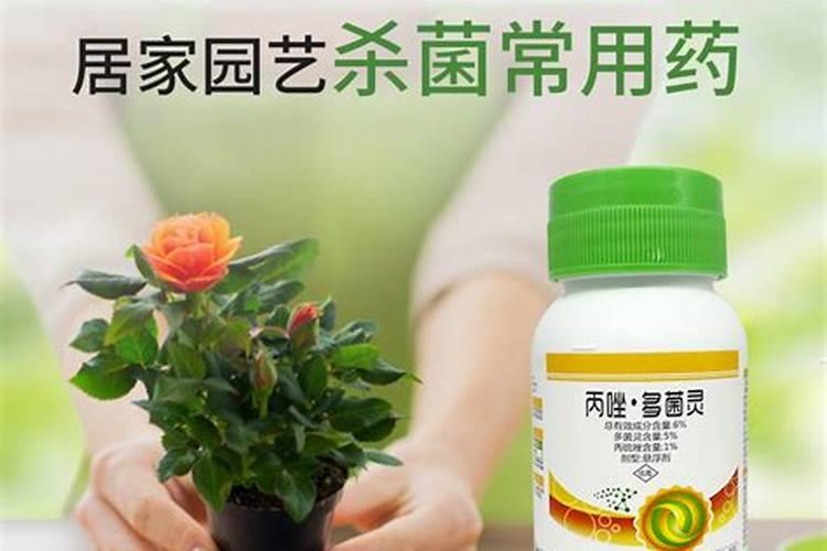 西兰花追肥用什么肥料好