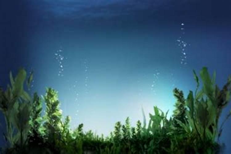 复合肥有哪些种类