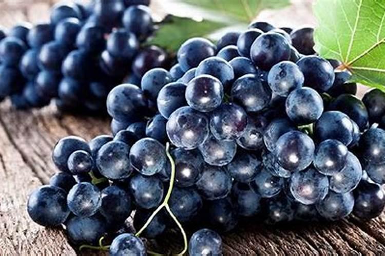 种油菜用什么肥料