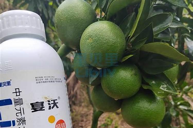 玉米打完除草剂能追肥料吗？