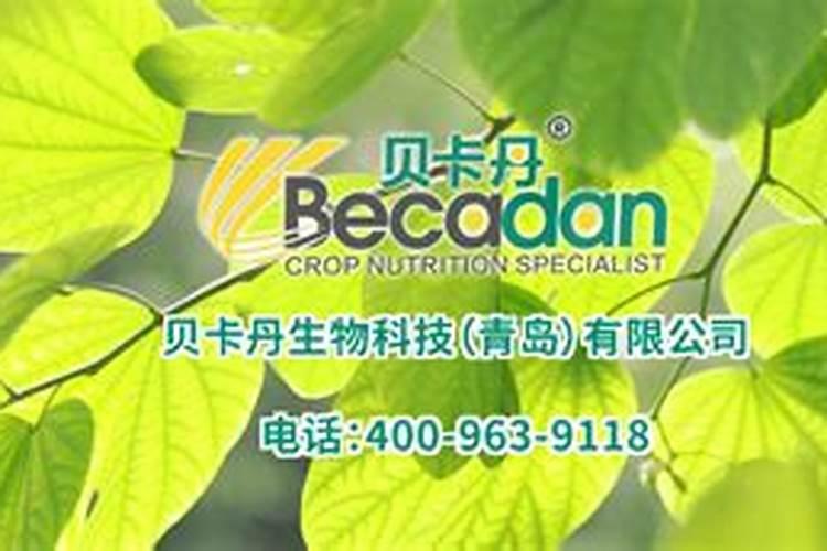 果树浇鱼蛋白会不会影响转色的效果