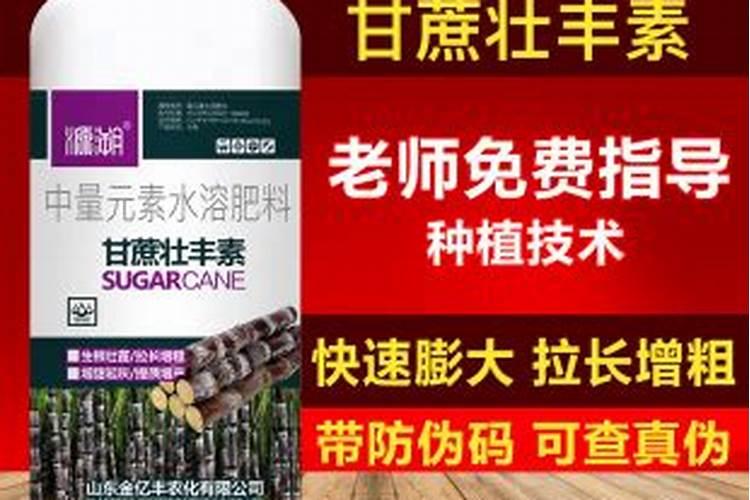 平贝母施肥方法和注意事项 平贝母怎么施肥浇水