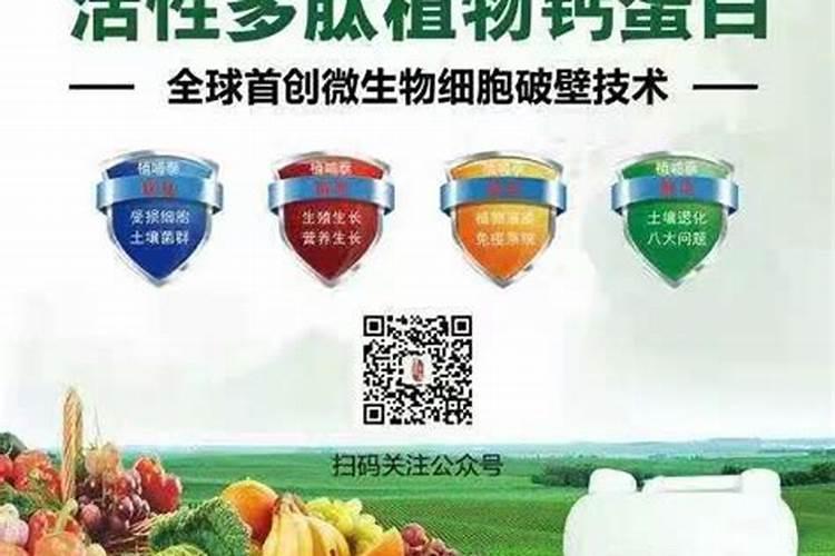 钙肥的缺乏和过量对草莓有什么危害？