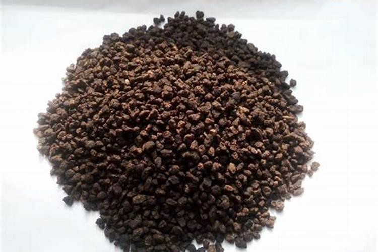 刚移栽的小番茄苗能浇鱼蛋白吗