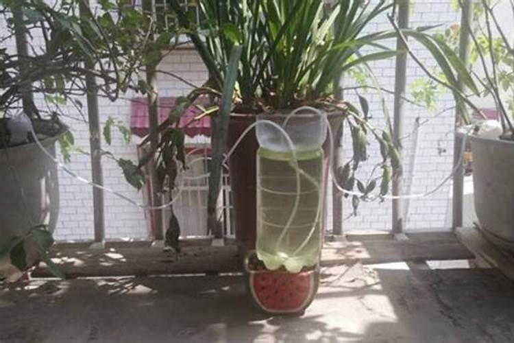 氮肥可以兑水浇花吗