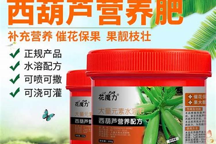 水溶肥排名前十位的有哪些品牌