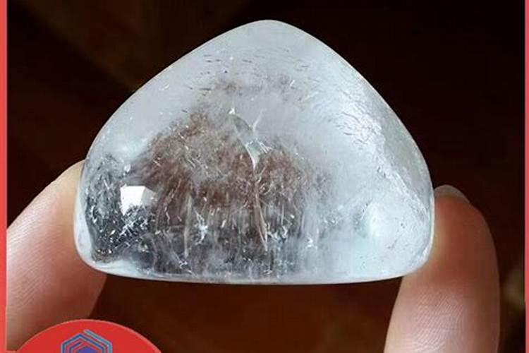 红石榴用什肥料最好