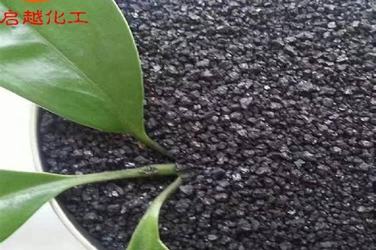 为何很多人种植玉米使用磷酸二氢钾？有哪些功效吗？