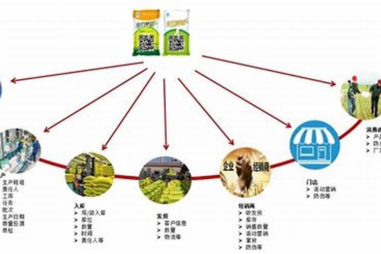 我家罗汉松因施肥过多导致叶子枯萎,怎样养活？
