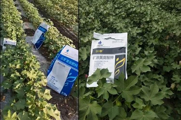 含钾最高的肥料有哪几种 含钾高的肥料有哪些