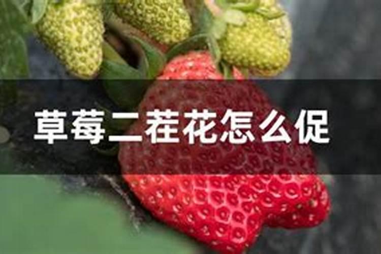 菊酯类农药有哪些