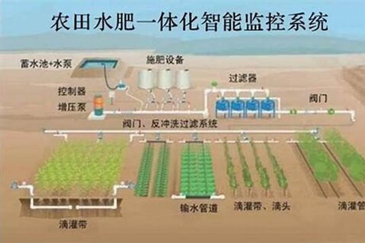 控释肥放花土表面可以吗