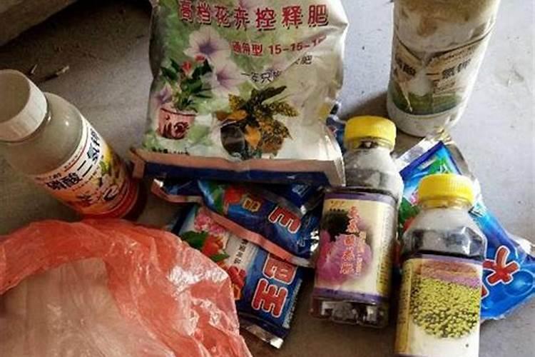 梅花上什么肥料好