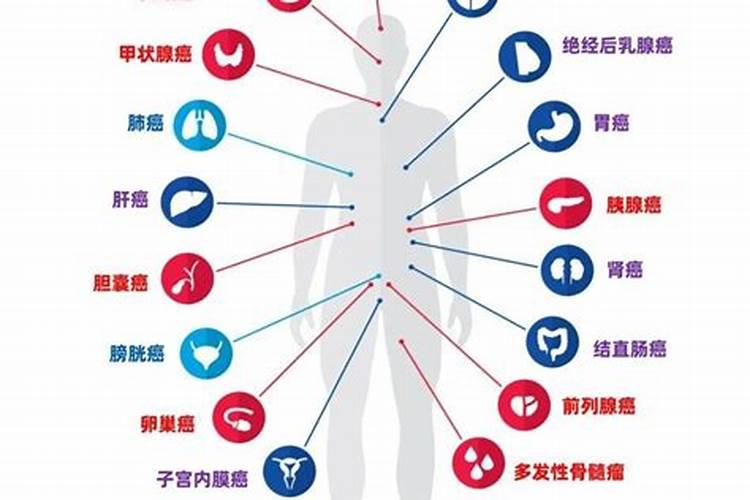 无机盐不足怎么补