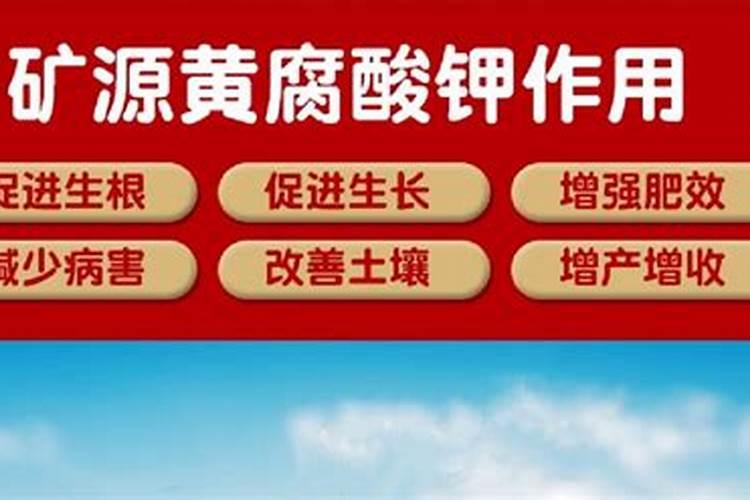 马铃薯膨大剂哪个好