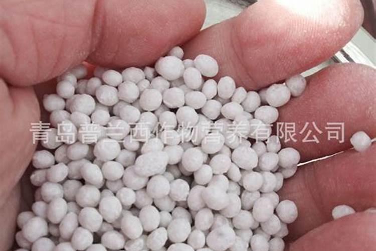氮磷钾肥和硫酸钾肥种生姜那个好