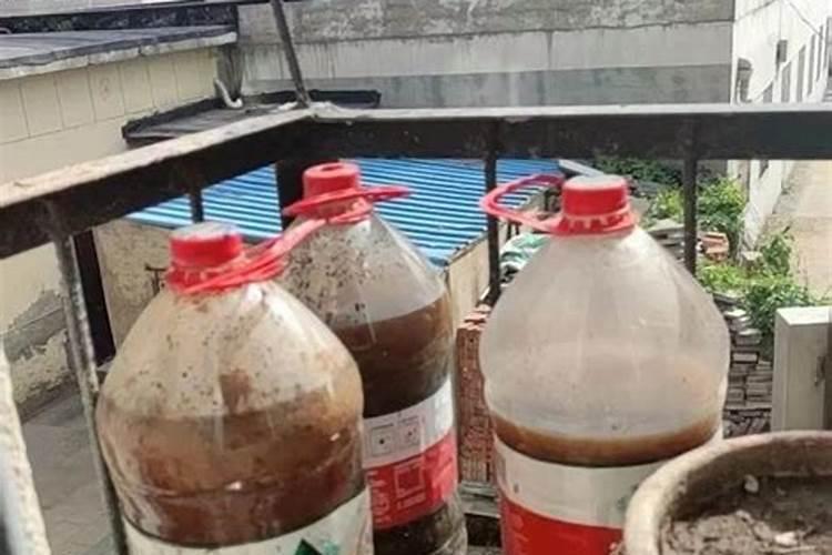 养花怎样让根系发达 植物如何养好根系