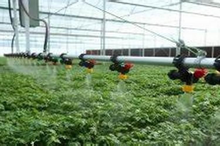 人工施肥多久浇一次水