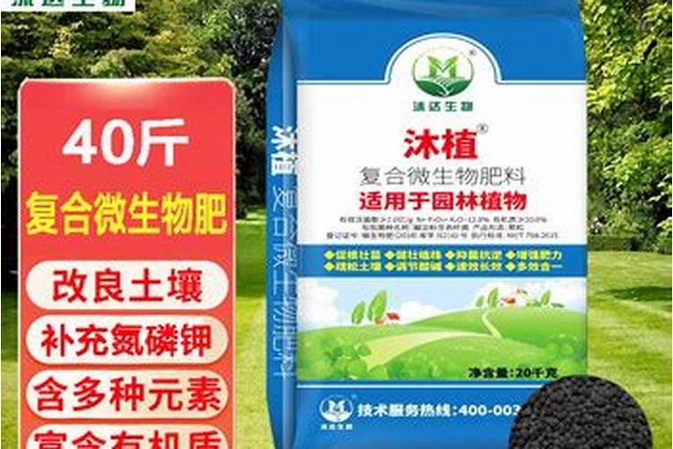 树苗上肥用什么肥料