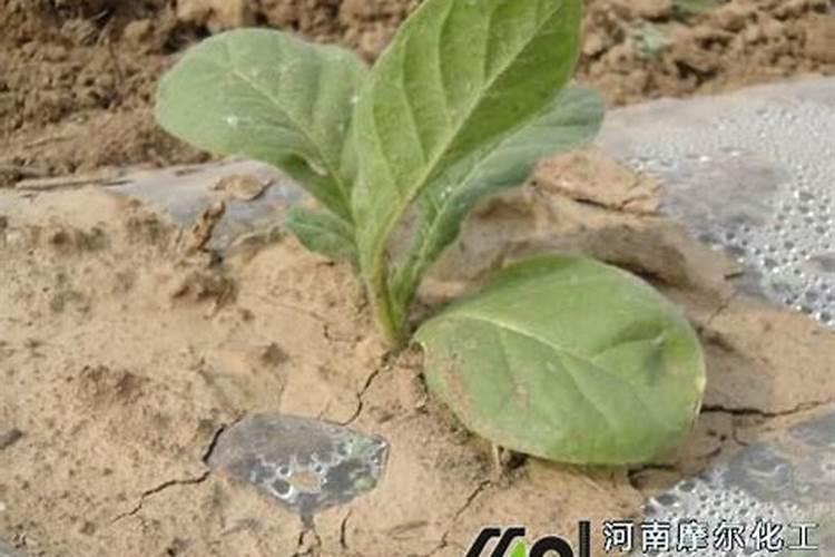 宁波生物颗粒厂有哪些