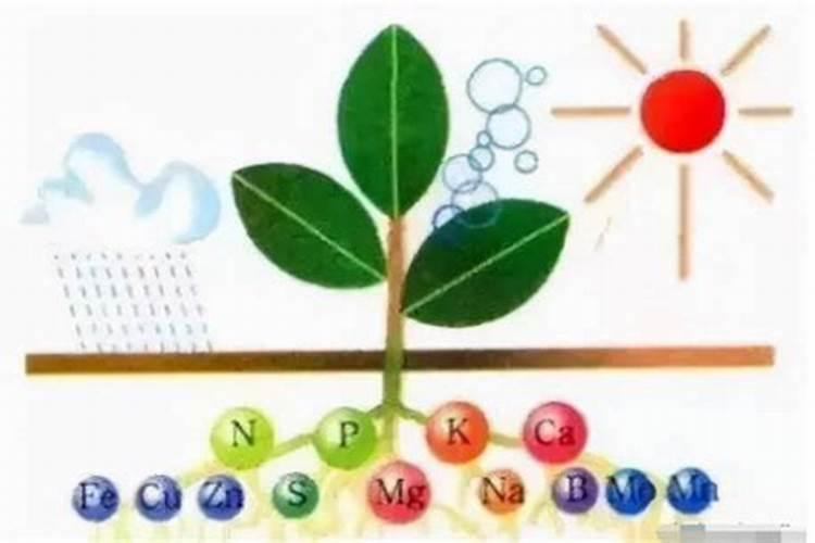 净土农夫宁波生物科技有限公司怎么样？
