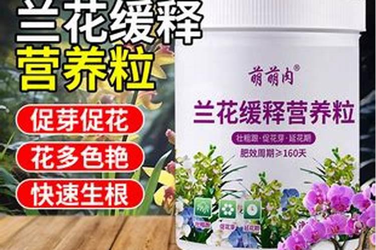 玉米打叶面肥用进口叶面肥用哪个国家的好