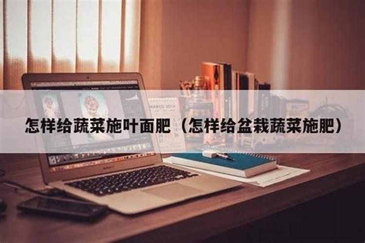 西葫芦是忌氯作物吗