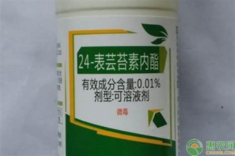 芸苔素的作用和使用方法 芸苔素如何分辨真假