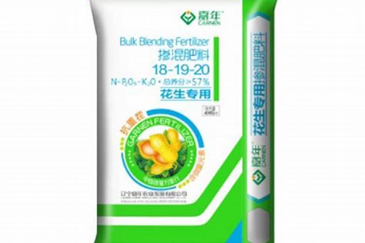 种植沙田柚的注意事项