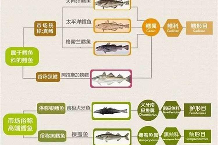 氮肥使用过量有哪些危害？氮肥使用技巧!