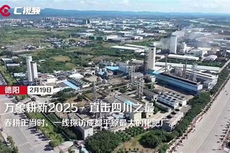 临沂有哪些化肥厂