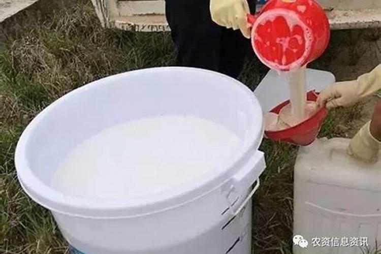 长寿花开花期间能施肥吗