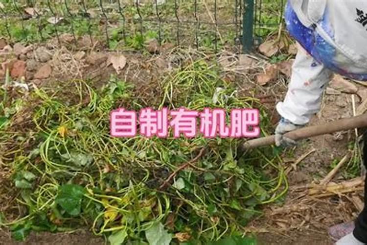 大量元素水溶肥为什么都说进口的好？？具体好在哪呢？