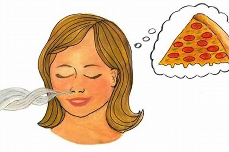 兰花怎么浇水施肥