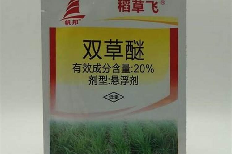 硅肥的主要作用有哪些