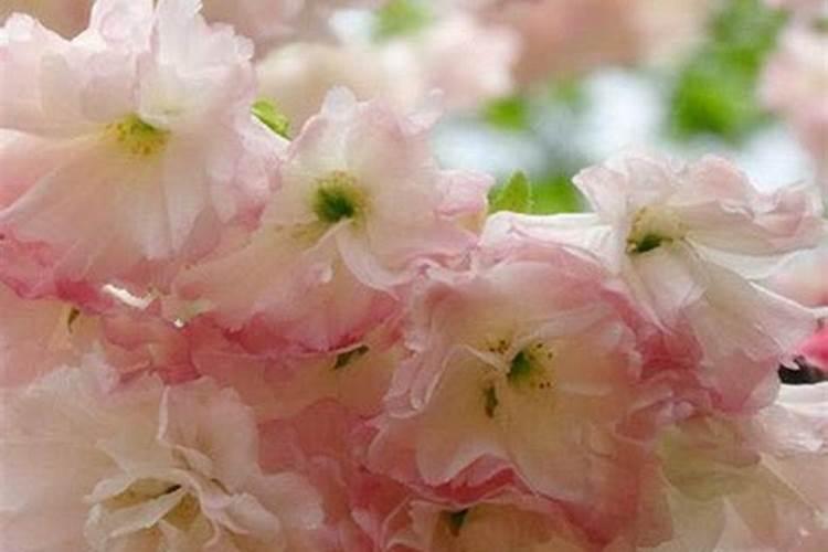 利用滤纸过滤含有沙的食盐水时