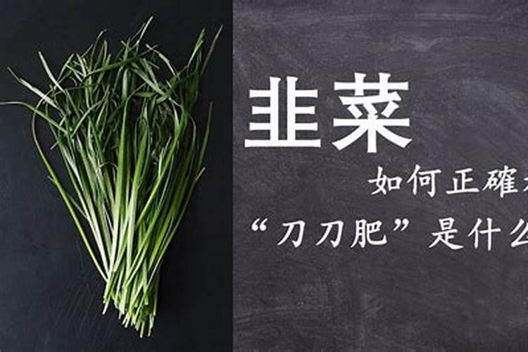 韭菜施什么肥最好