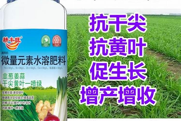 小葱用什么肥料长得快(种小葱需要喷施什么叶面肥)