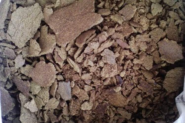 枇杷树施什么肥料最好？