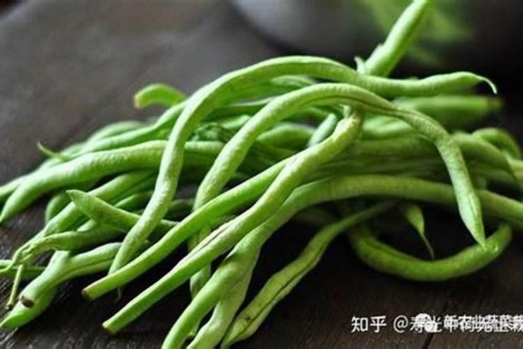 秋架豆什么时候种秋架豆适合什么时候种