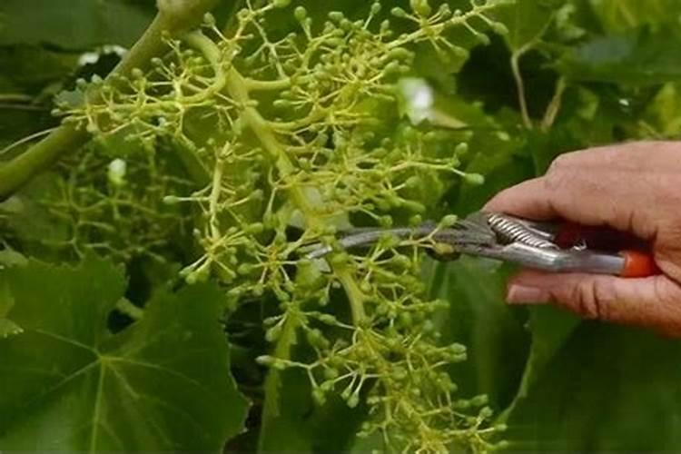 宜昌市城区废弃的地方