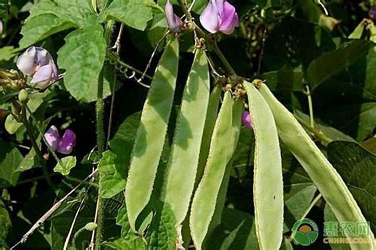 金沂蒙复合肥高塔能不能被判定为合格